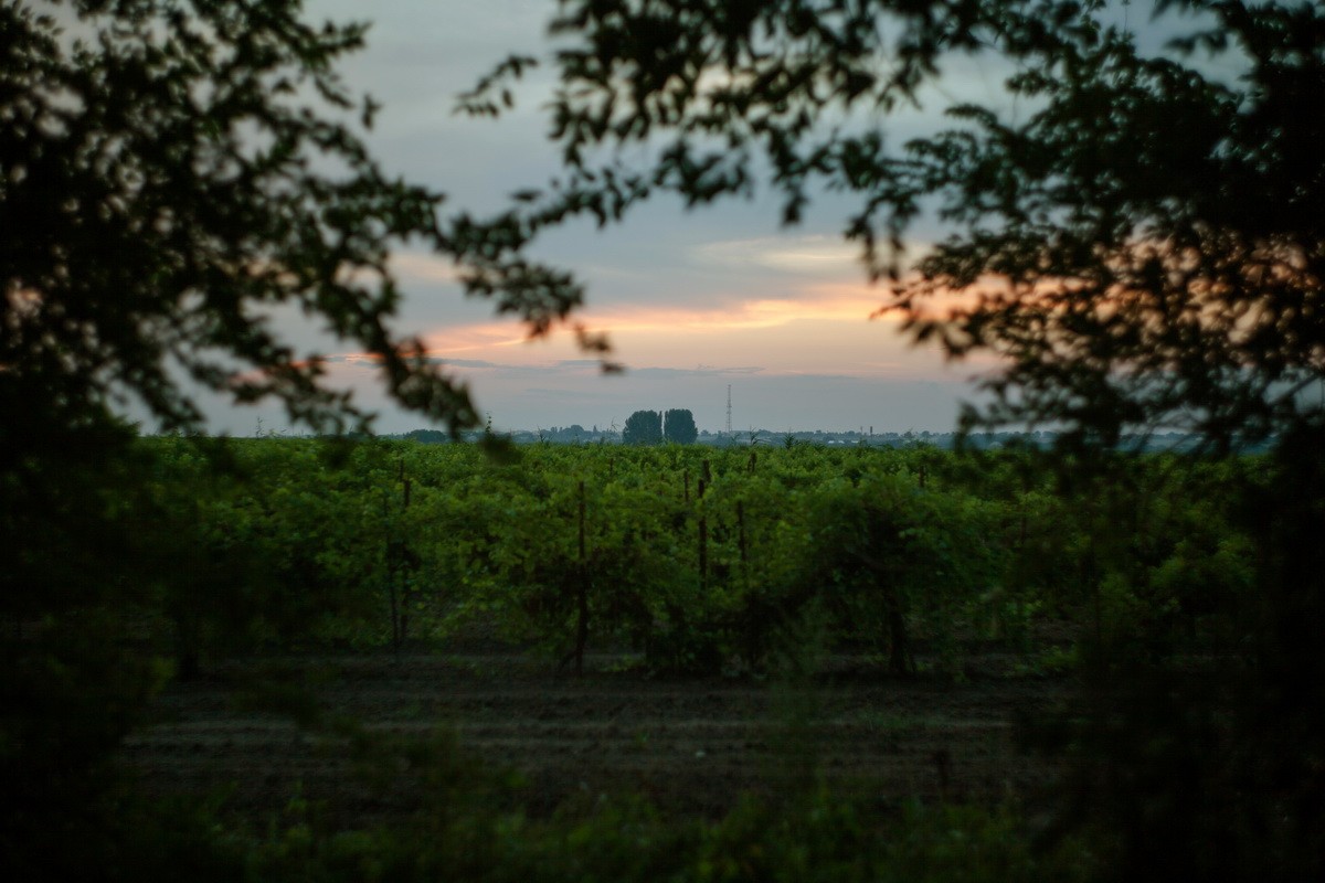 2013-07_Budennovsk_A-Solo_0039