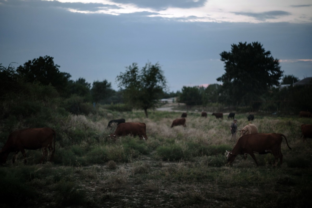 2013-07_Budennovsk_A-Solo_0043